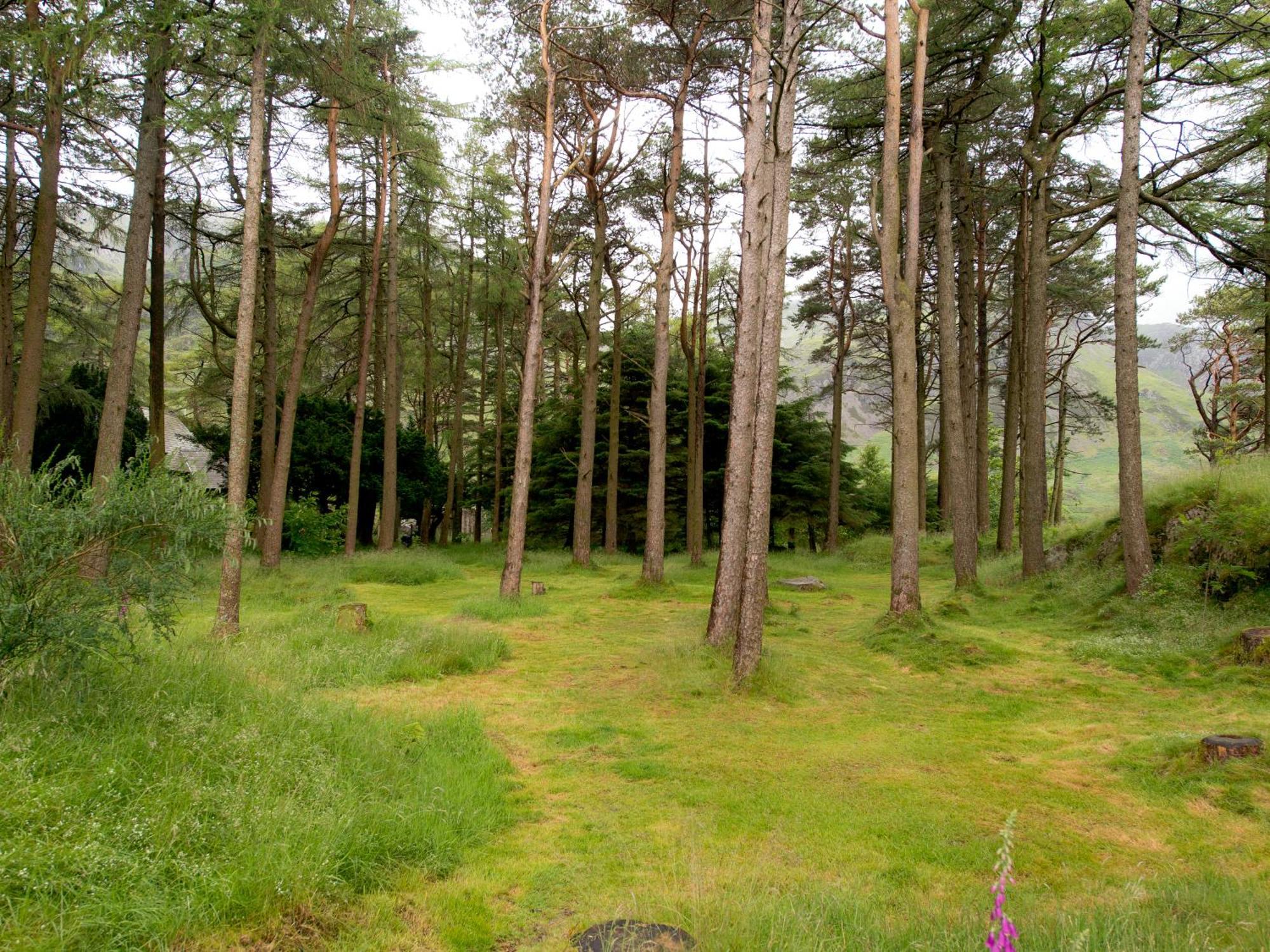 Yha Idwal Cottage Bethesda Εξωτερικό φωτογραφία