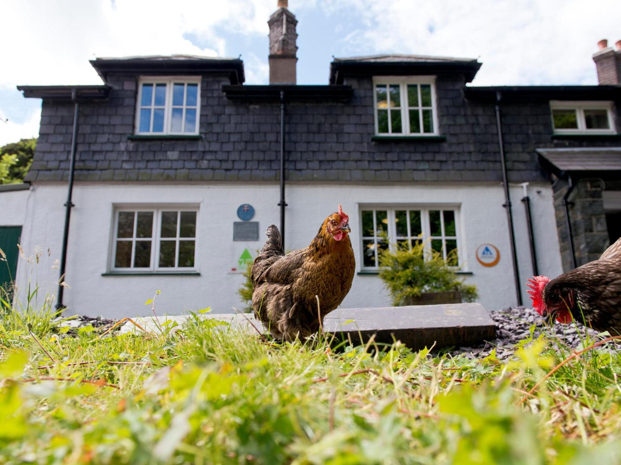 Yha Idwal Cottage Bethesda Εξωτερικό φωτογραφία